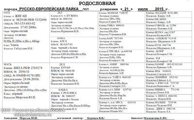Снимок экрана 2015-08-20 в 20.54.21.png