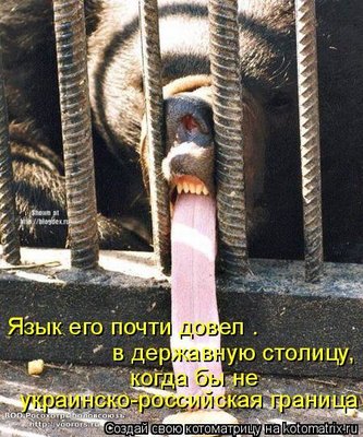 яз.jpg