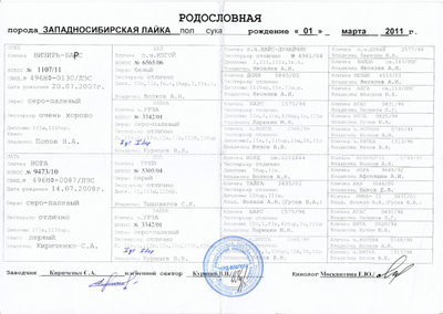 урза 2 родосл.jpg