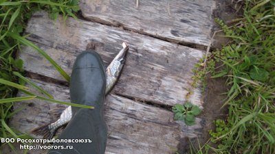 DSC_0010.JPG