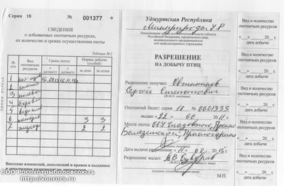 путевка1.jpeg