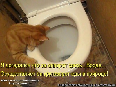 ап.jpg