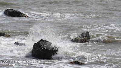 DSC00348.JPG