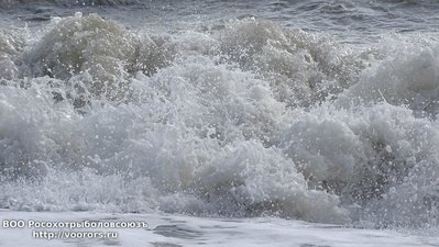 DSC00343.JPG