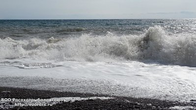 DSC00338.JPG