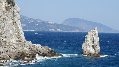 DSC00271.JPG