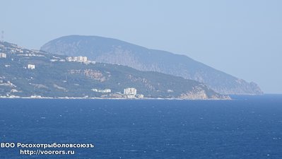 DSC00247.JPG