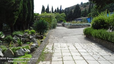 DSC00188.JPG