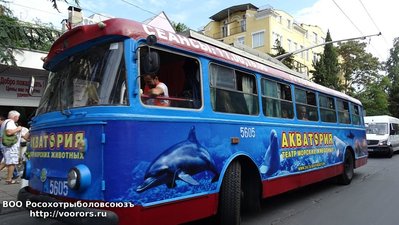 DSC00318.JPG