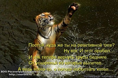 тр.jpg