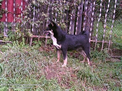 SUNP0016 (2).JPG