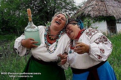булатовы коровы.jpg
