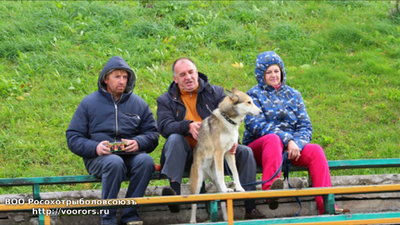 mms_20151006_074813.png