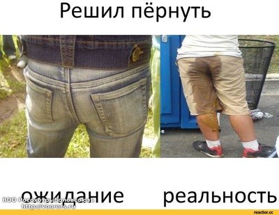 не-доверяйте-пуку-песочница-1242842.jpeg