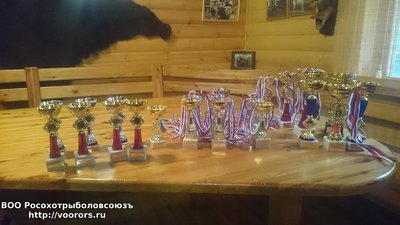 DSC_0336.JPG
