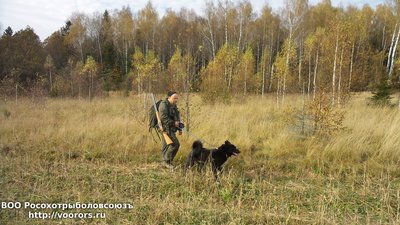 20151017_160402.jpg