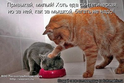 пр.jpg