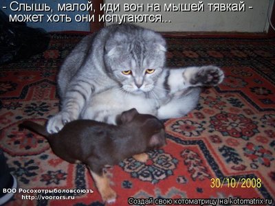ис.jpg