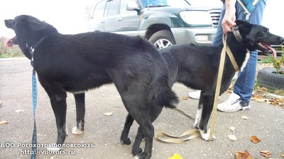 20150930_163054.jpg