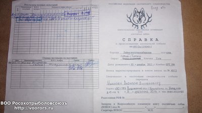 20151026_233513.jpg