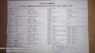 20151026_233542.jpg