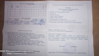 20151027_010314.jpg