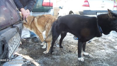 20151009_131003.jpg
