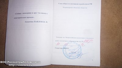 20151027_005633.jpg