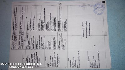 20151026_195202.jpg