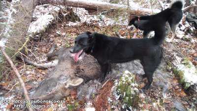 20151031_152058.jpg