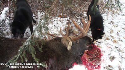 20151114_133610.jpg