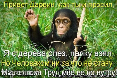 мар.jpg