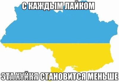 uKlPlzvXMp4.jpg