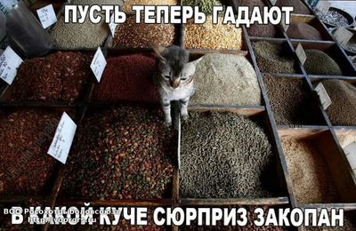 IMG_20151123_165204.jpg