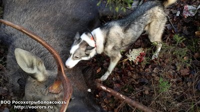 20131102_102002.jpg