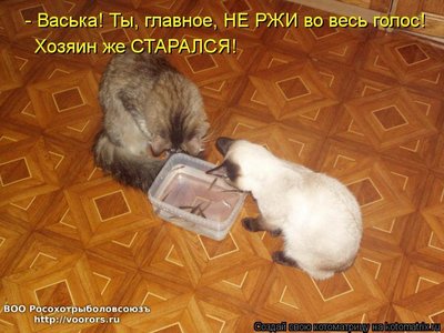 хоз.jpg