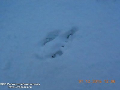 DSCN3742.jpg