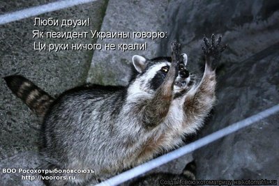 пор.jpg