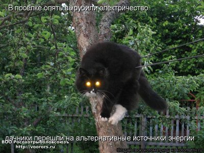 дач.jpg