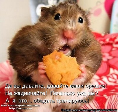 печ.jpg