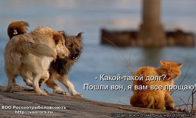 долг.jpg