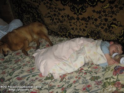 IMG_6018.JPG