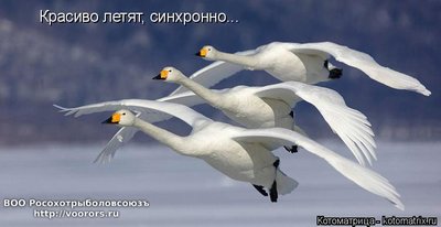леб.jpg