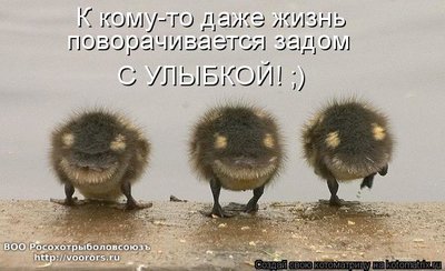 зад.jpg