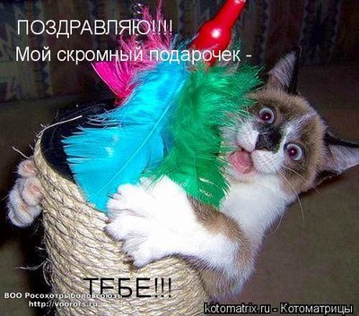 теб.jpg