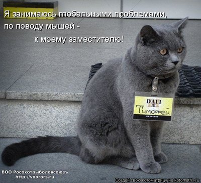пр.jpg
