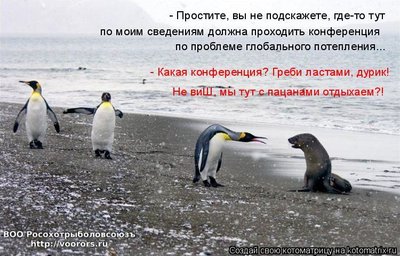 лас.jpg