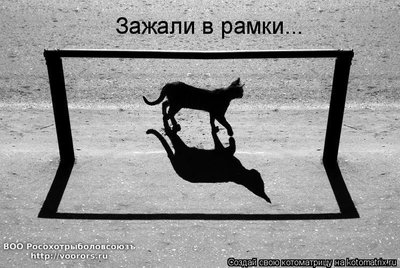 з.jpg