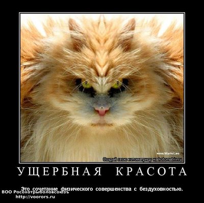 ущ.jpg