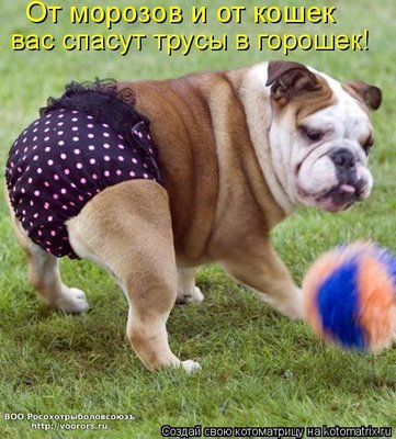 тр.jpg